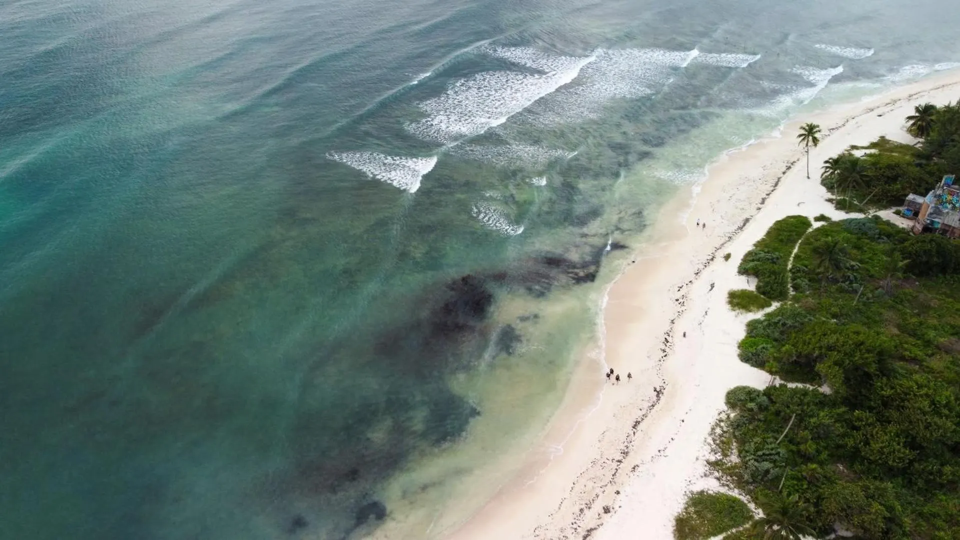 Exclusive Ocean-View Condo In Riviera Maya Playa del Carmen
