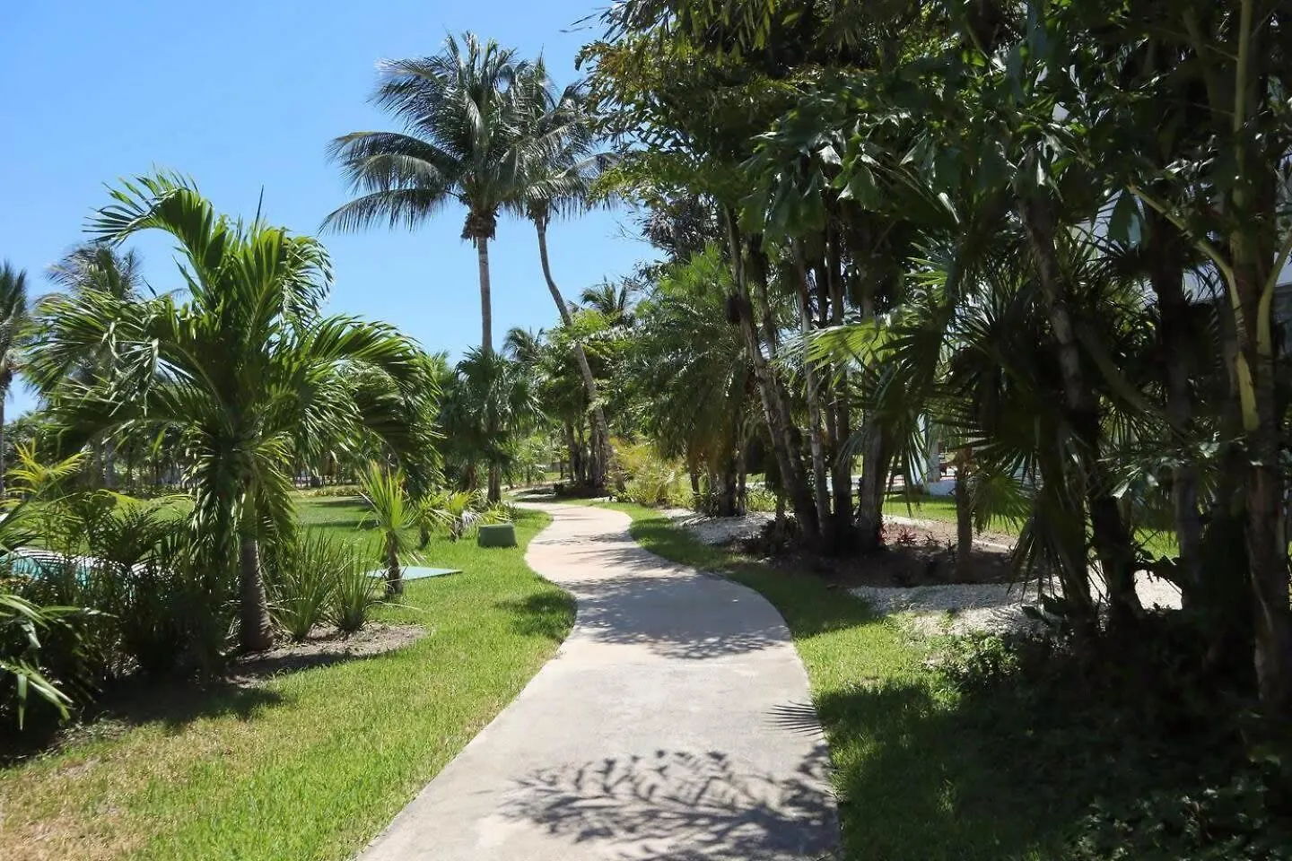 Exclusive Ocean-View Condo In Riviera Maya Playa del Carmen Apartment